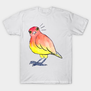 Angry birb - no text T-Shirt